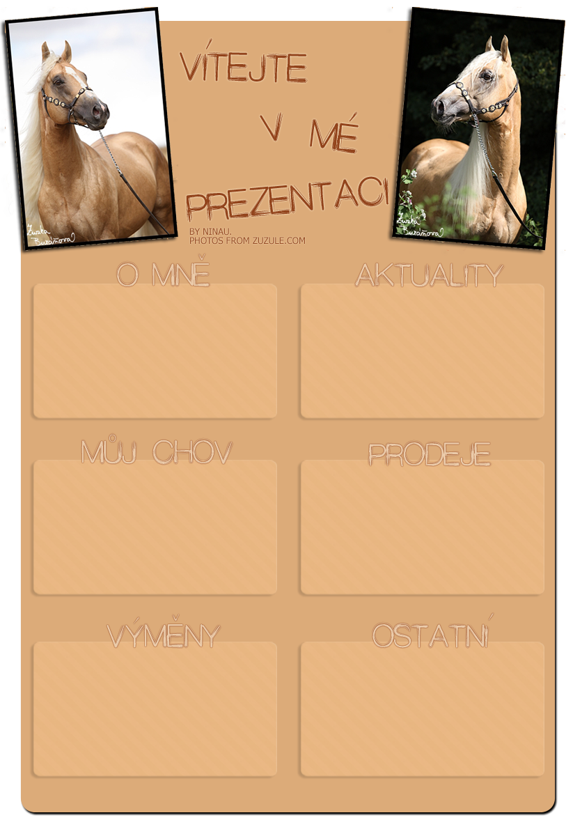 palomino_hotovo_2